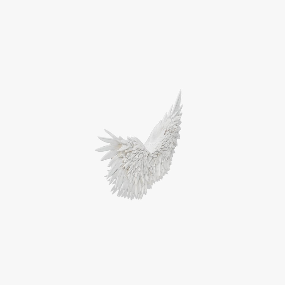 Elegant White Angel Wings model pack