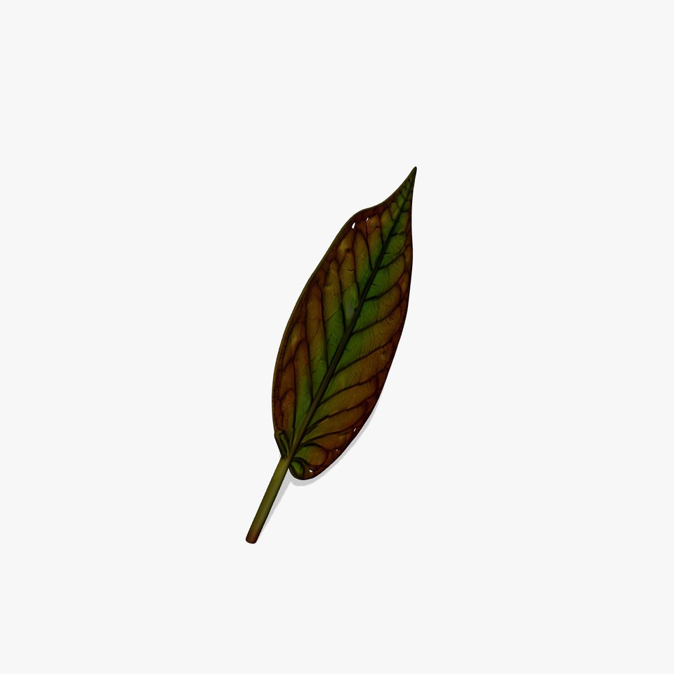 Vibrant Autumn Leaf model pack