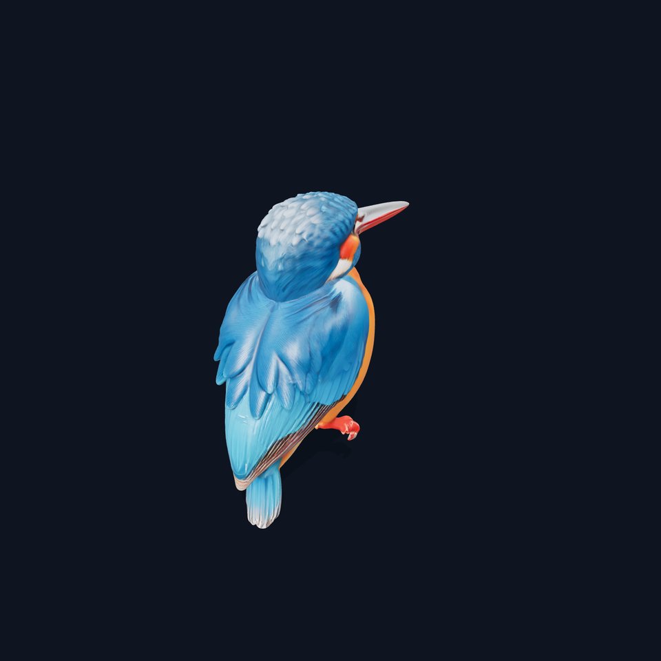 Vibrant Kingfisher Bird model pack