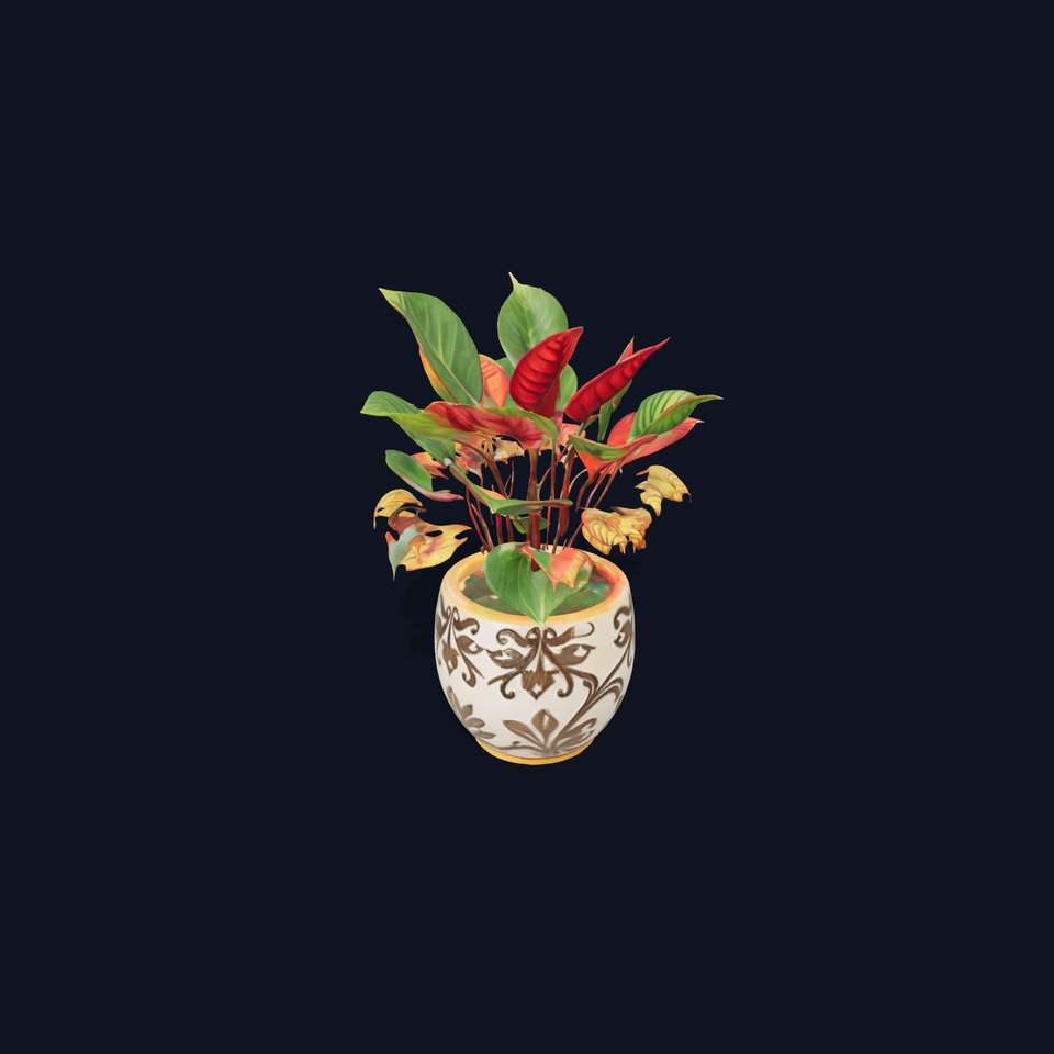 Vibrant Decorative Plant model pack