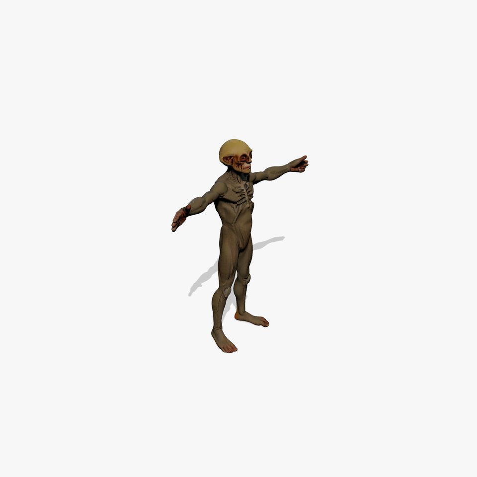 Alien Creature Anatomy model pack