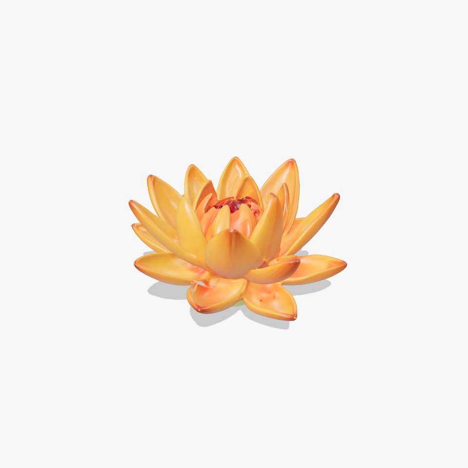 Vibrant Lotus Bloom model pack