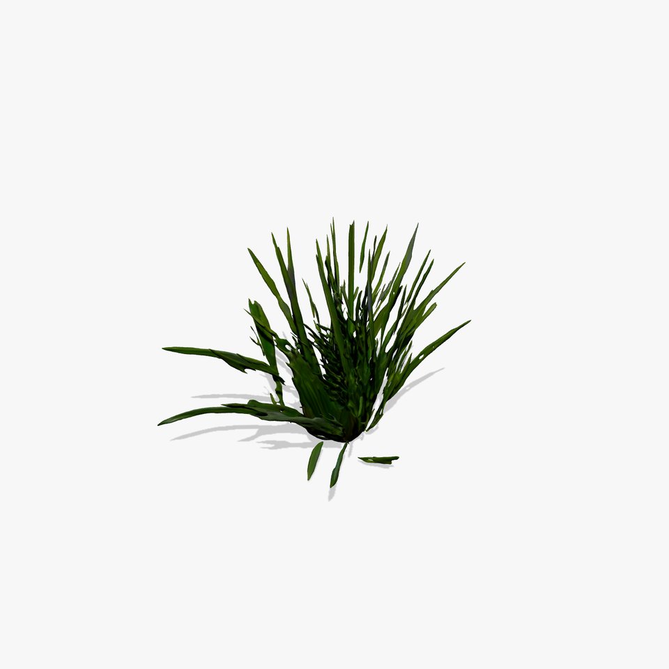 Green Grass Cluster model pack