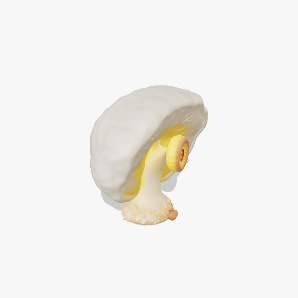 Glowing Spiral Mushroom model pack