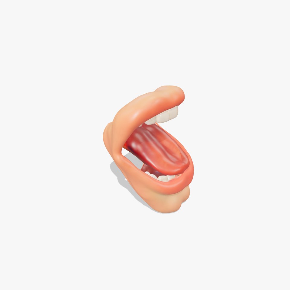 Realistic Human Mouth model pack