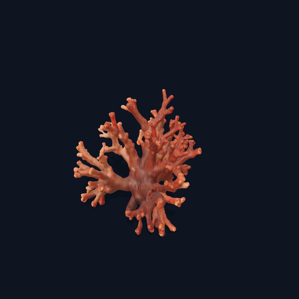 Rustic Coral Structure model pack