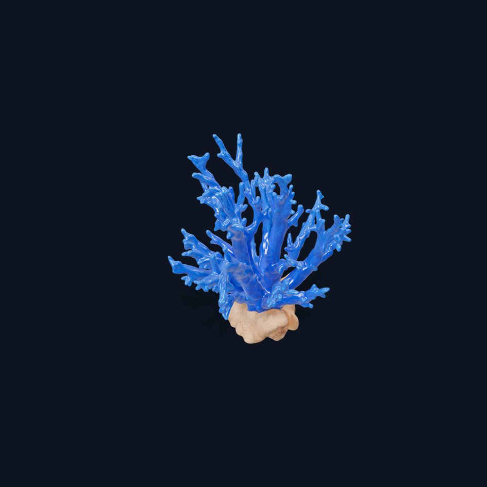 Azure Coral Branch model pack
