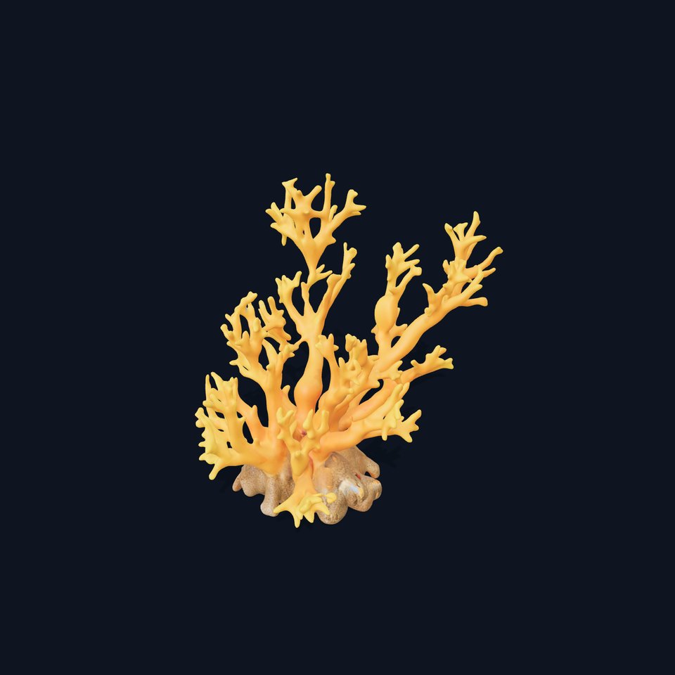 Vivid Coral Reef model pack