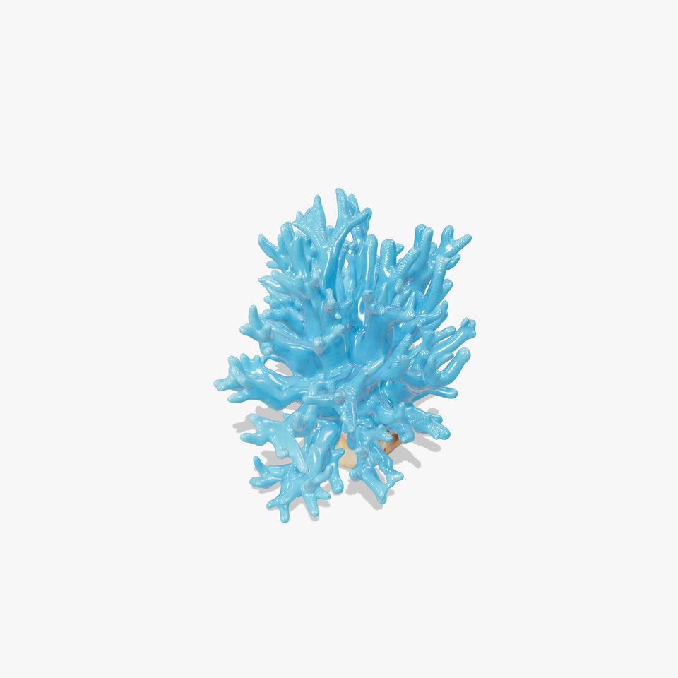 Vibrant Coral Reef model pack