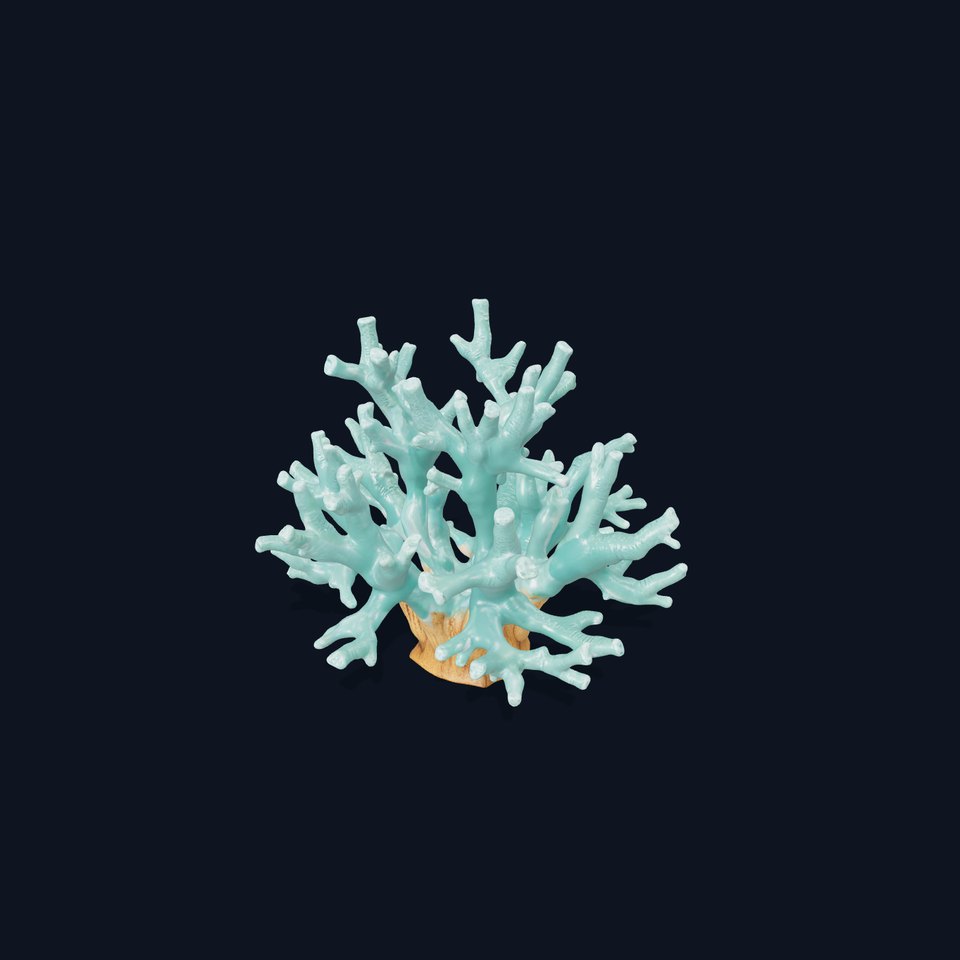 Turquoise Coral model pack
