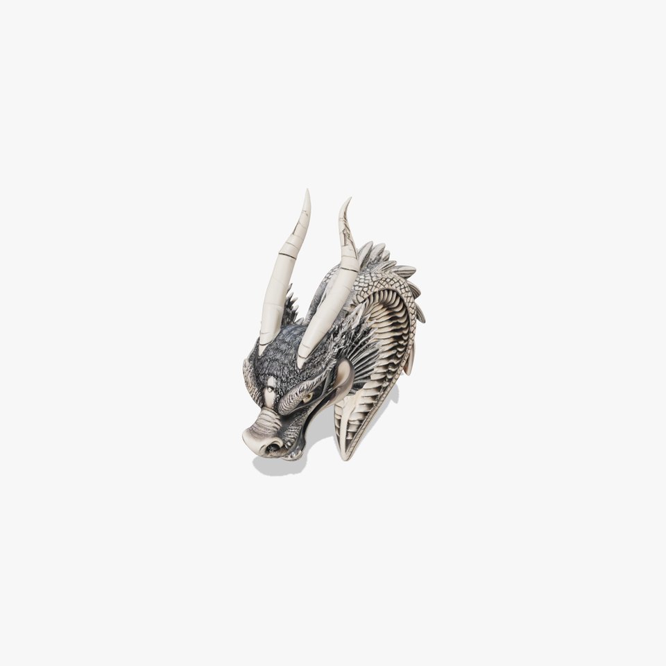 Silver Dragon Head model pack
