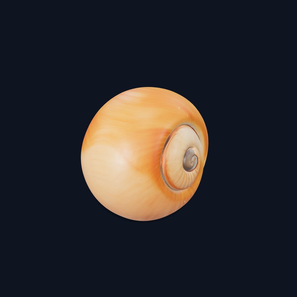 Amber Spiral Shell model pack