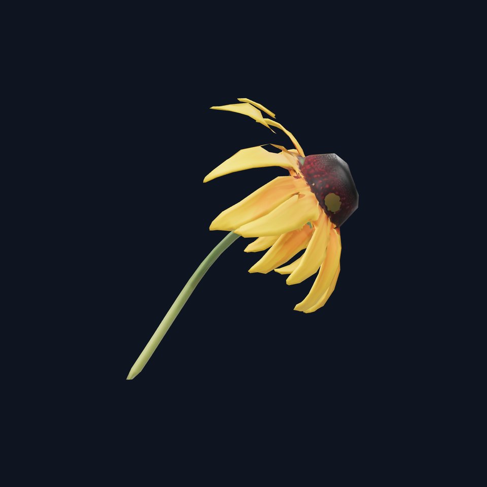 Sunny Daisy Blossom model pack