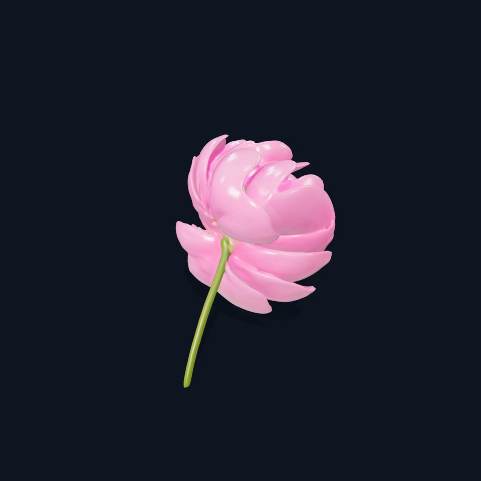 Pink Peony Flower model pack