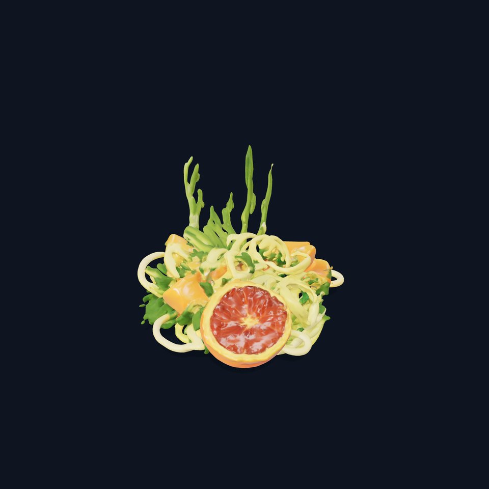 Citrus Salad Plate model pack