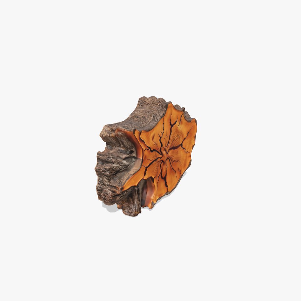 Rustic Tree CrossSection model pack