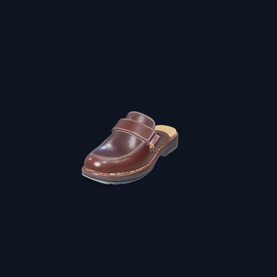Stylish Brown Loafer model pack