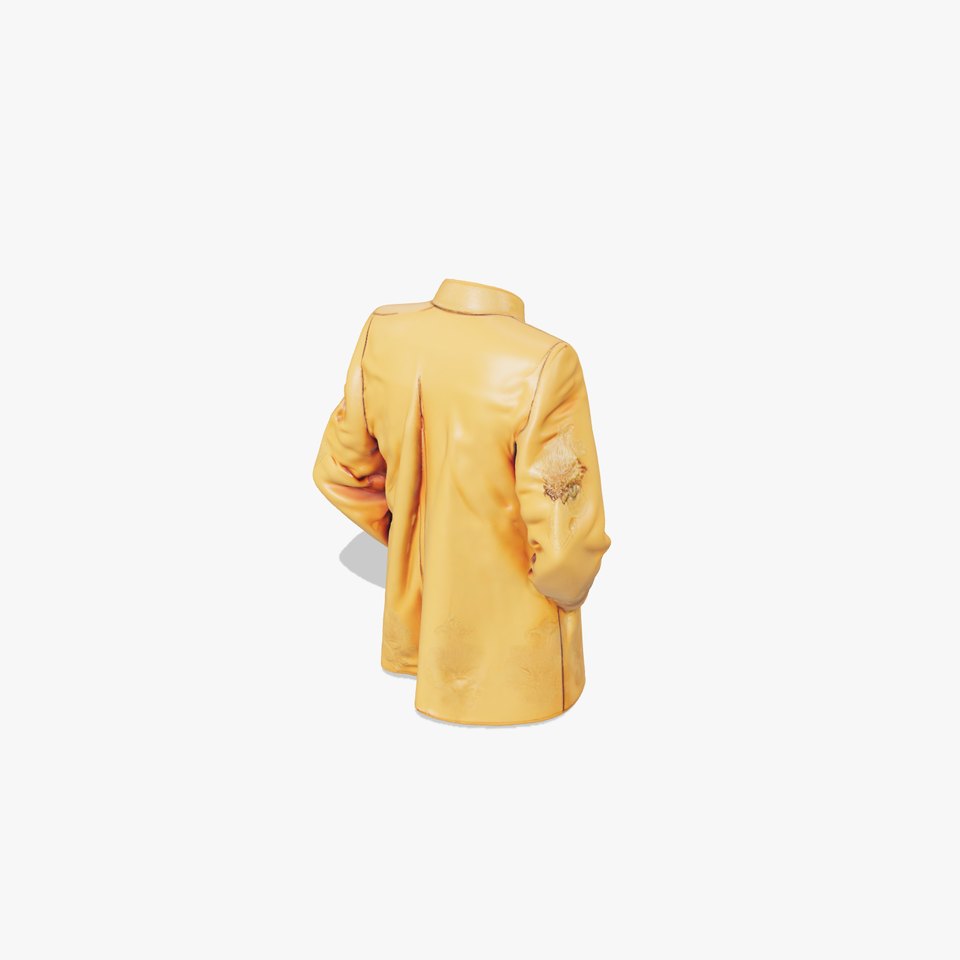 Golden Embroidered Jacket model pack