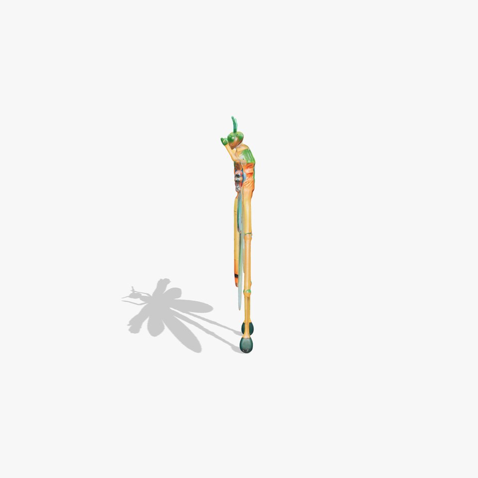 Iridescent Dragonfly model pack