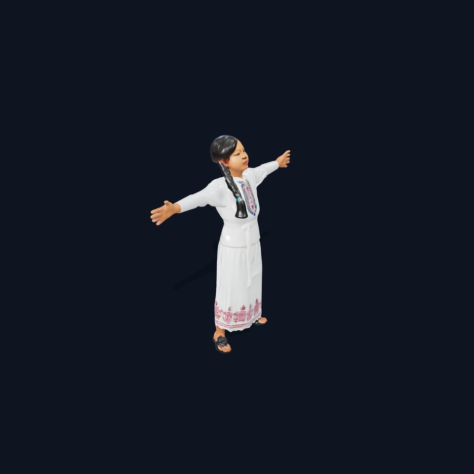 Traditional Embroidered Dress model pack