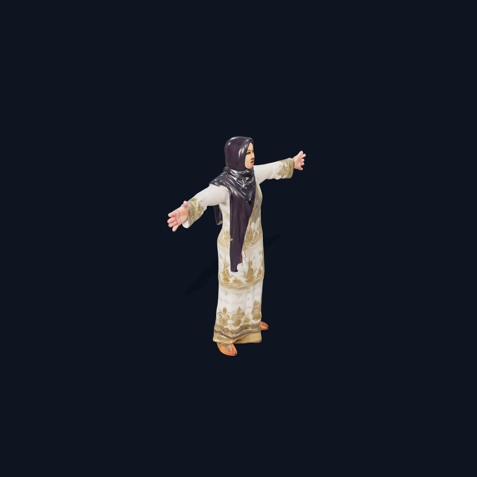 Elegant Embroidered Dress model pack