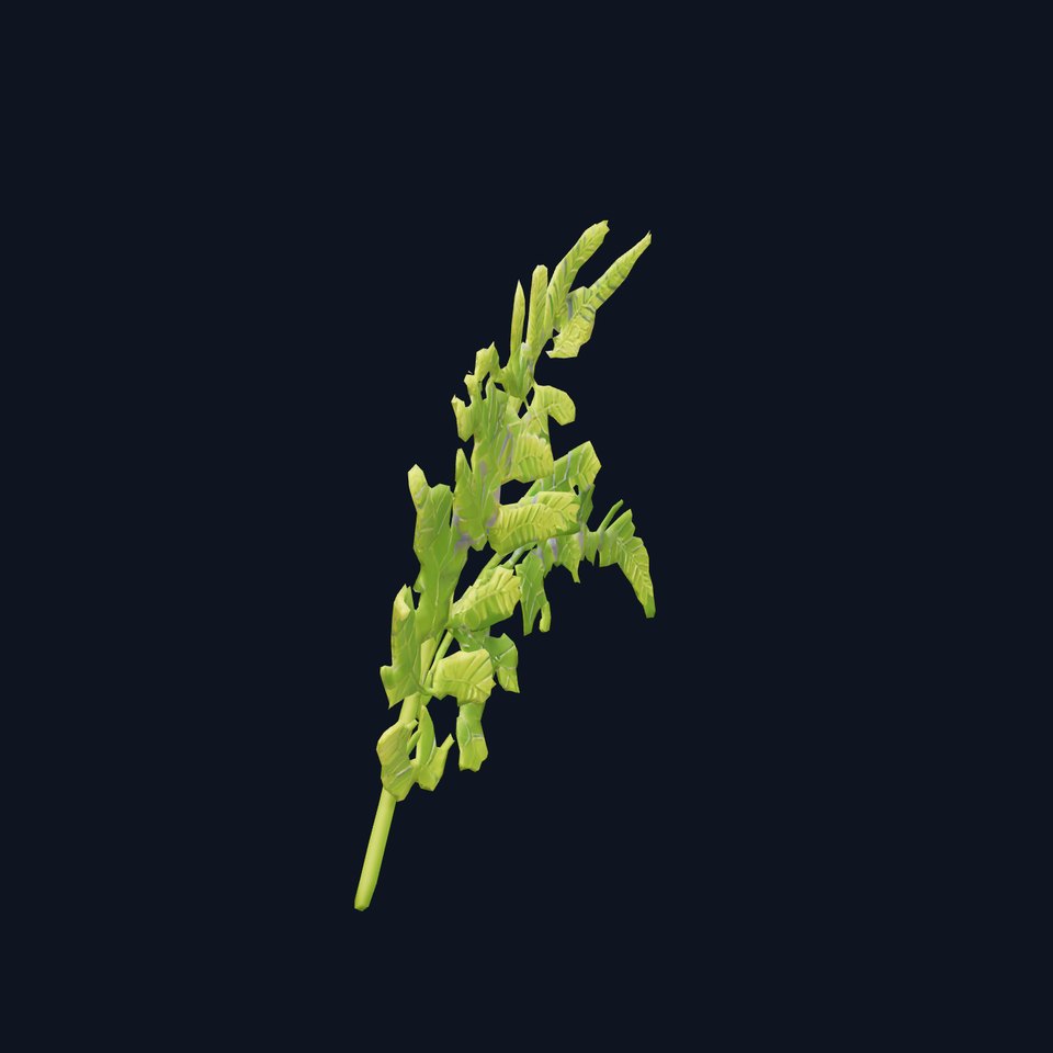 Lush Green Fern model pack