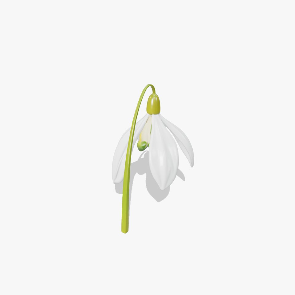 Elegant Snowdrop Flower model pack
