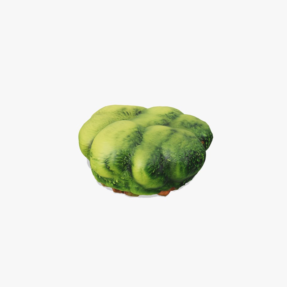 Vibrant Green Moss Clump model pack