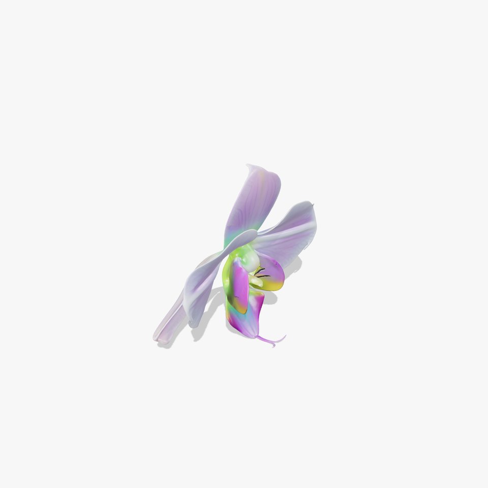 Iridescent Orchid Bloom model pack