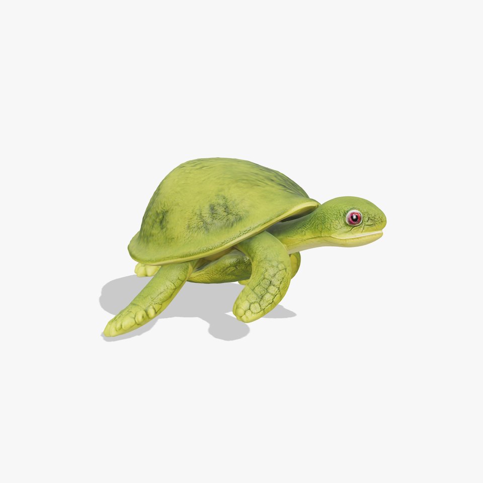 Mossy Turtle model pack