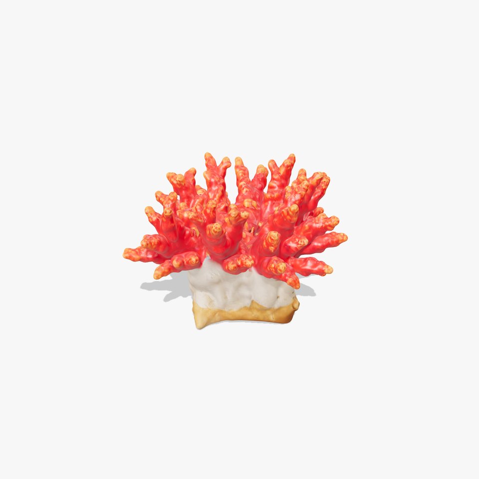 Vibrant Coral Reef model pack