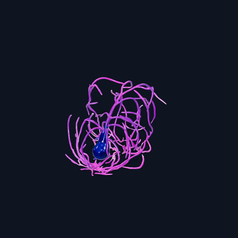 Vibrant Purple Tentacle model pack