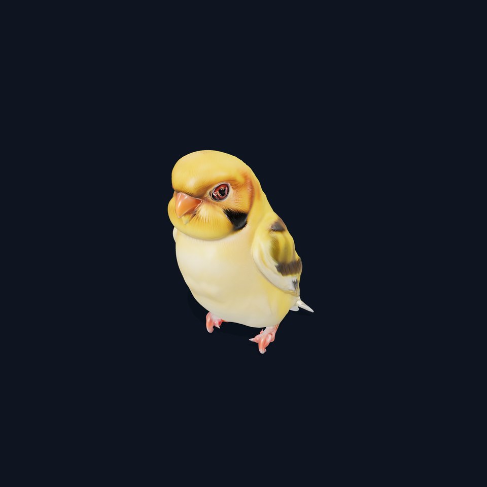 Golden Finch Bird model pack