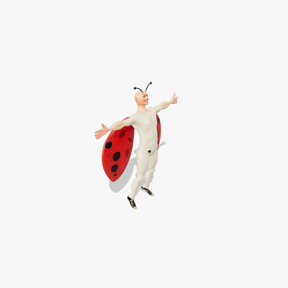 Ladybug Costume Fun model pack