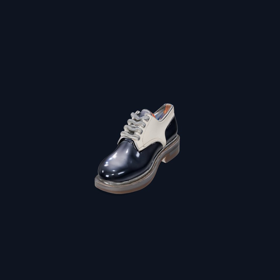 Elegant Leather Shoe model pack