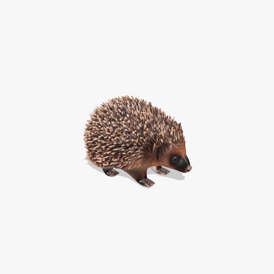 Adorable Hedgehog Model Pack