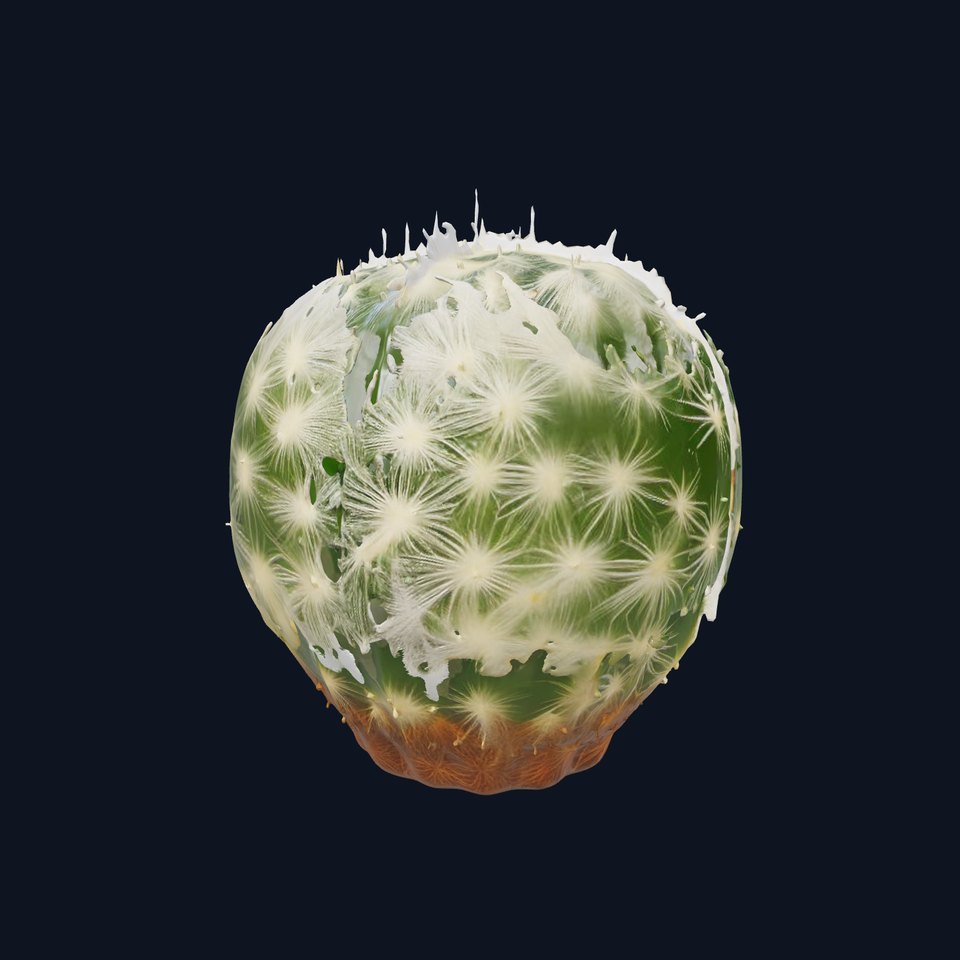 Spiky Green Cactus model pack