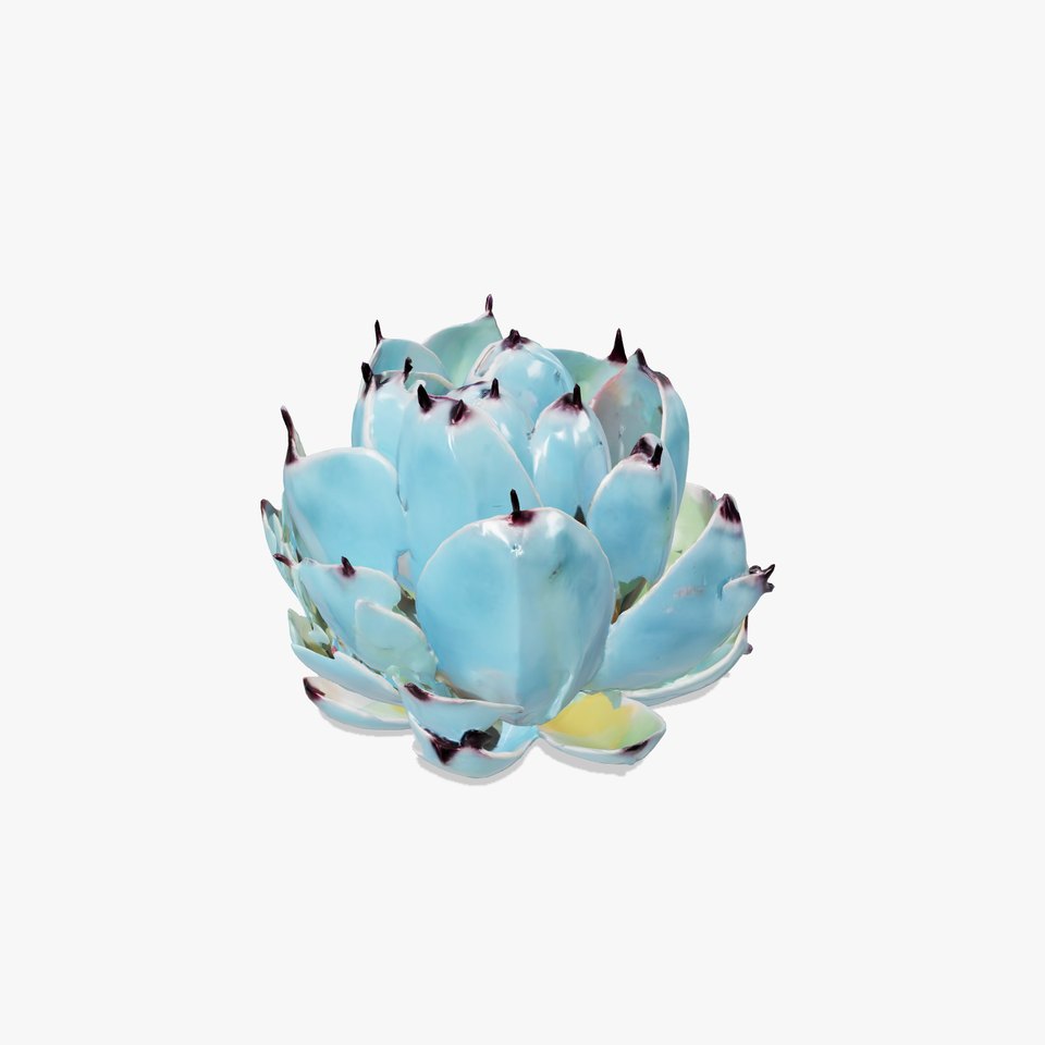 Blue Agave Plant model pack