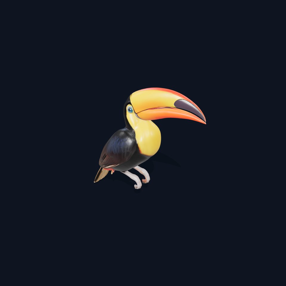 Colorful Toucan model pack