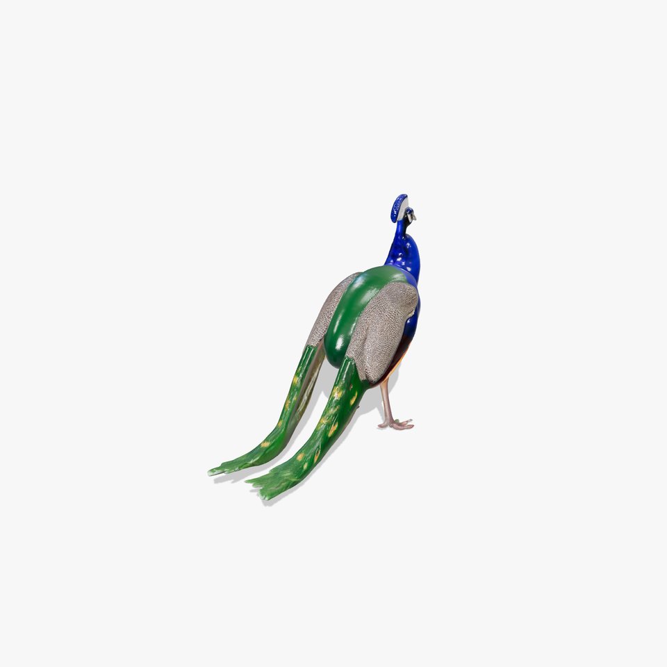 Vibrant Peacock Elegance model pack