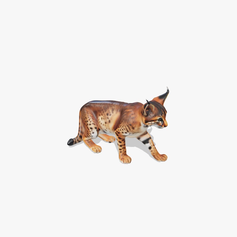 Elegant Lynx Cat model pack