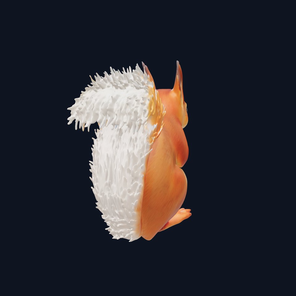 Charming Squirrel model pack