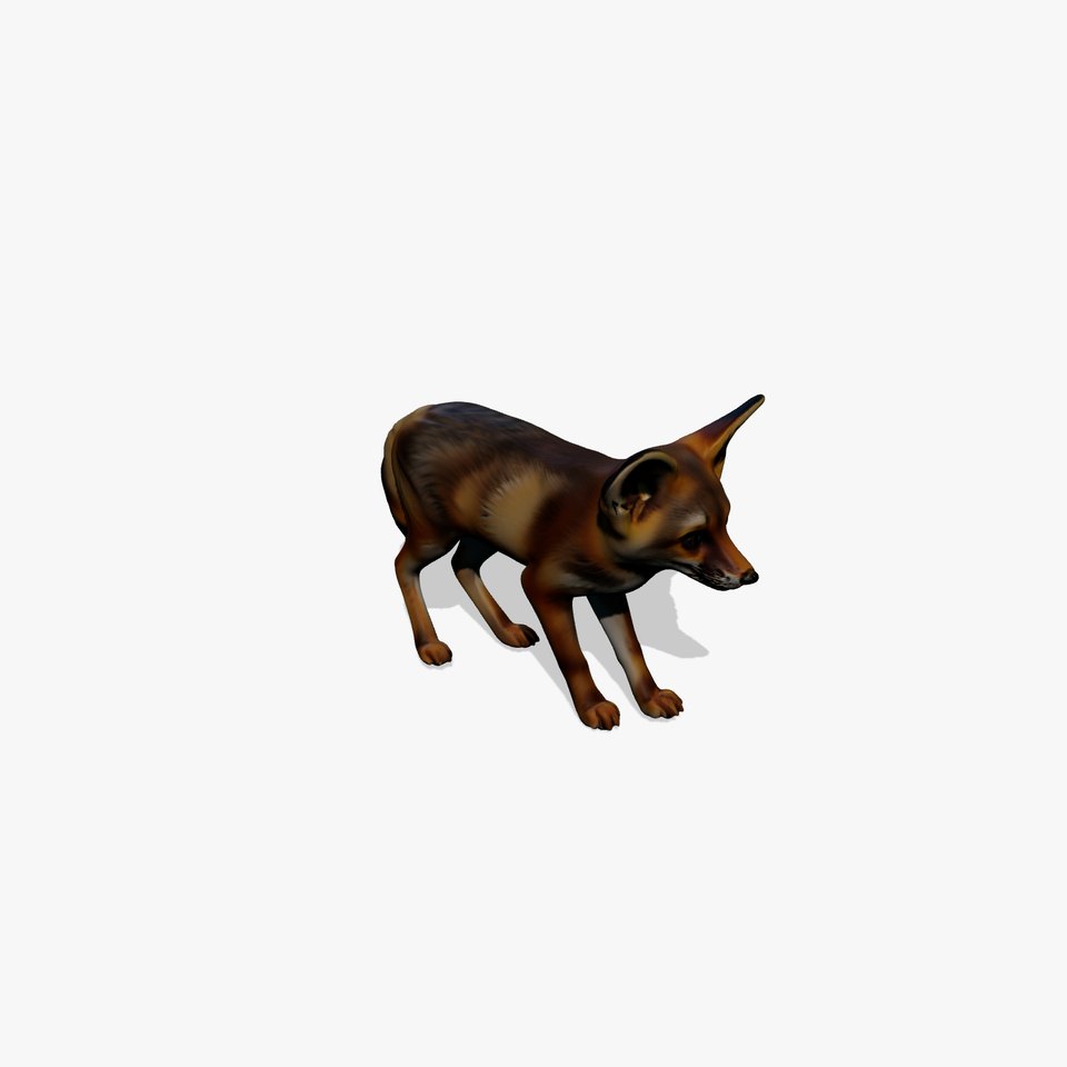 Fennec Fox Realistic model pack