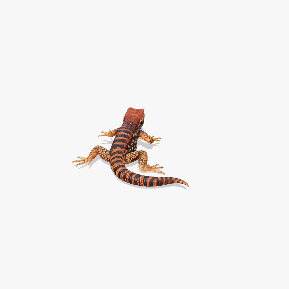 Striped Lizard Model Pack
