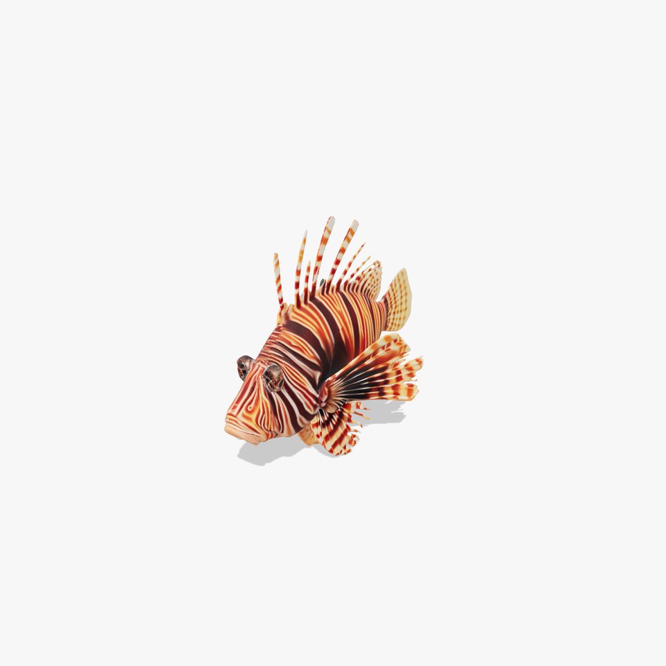Vibrant Lionfish Aquatic model pack