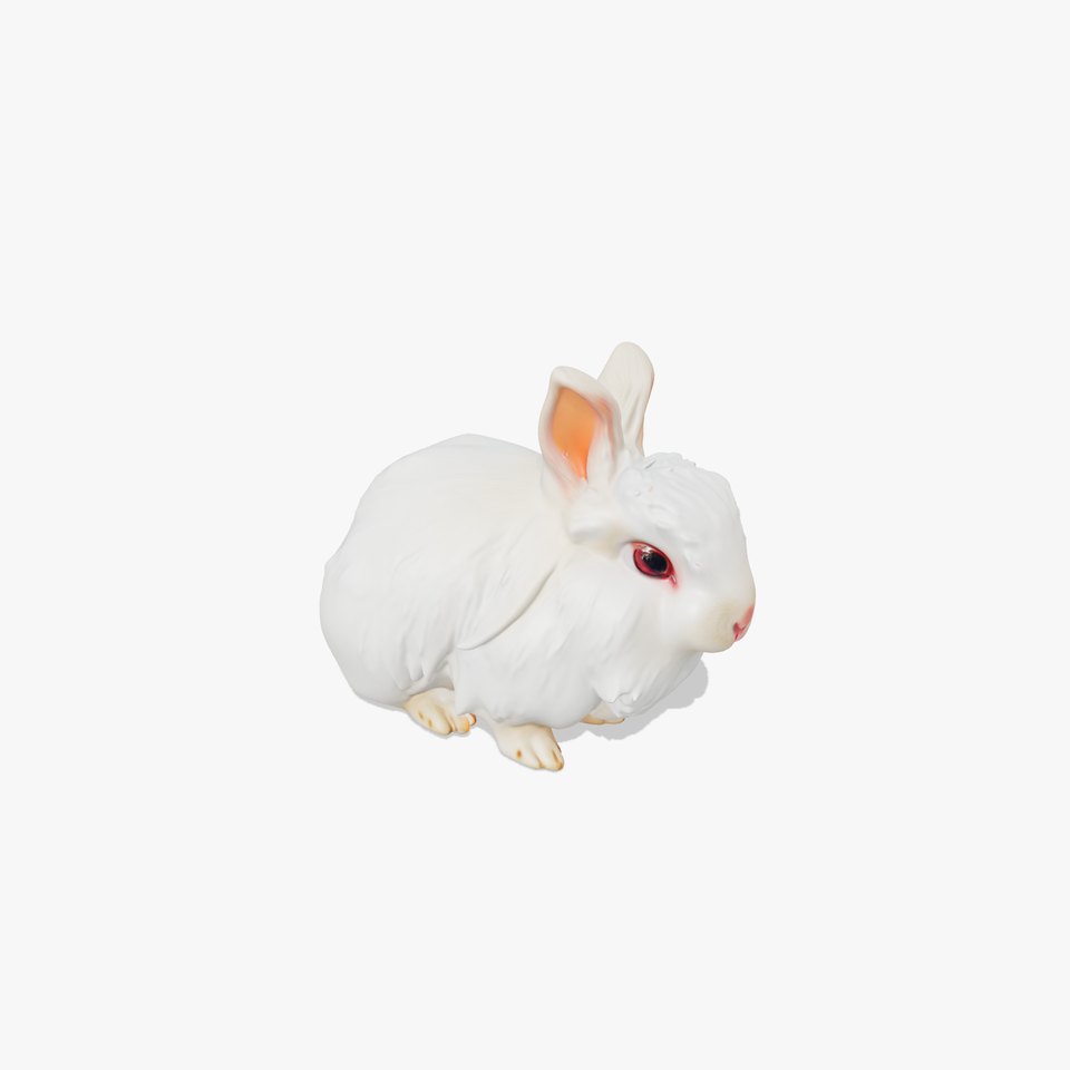 Fluffy White Rabbit model pack