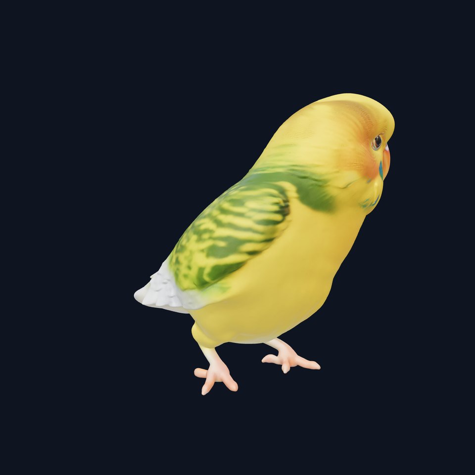 Yellow Parakeet model pack