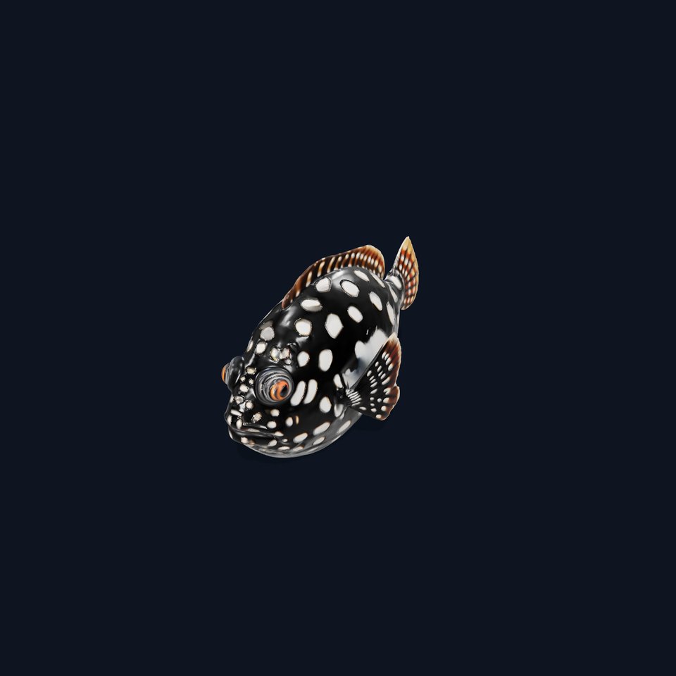 Spotted Fish Design model pack