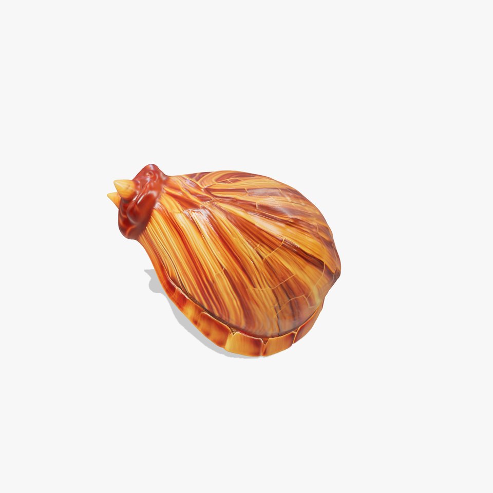 Elegant Seashell model pack