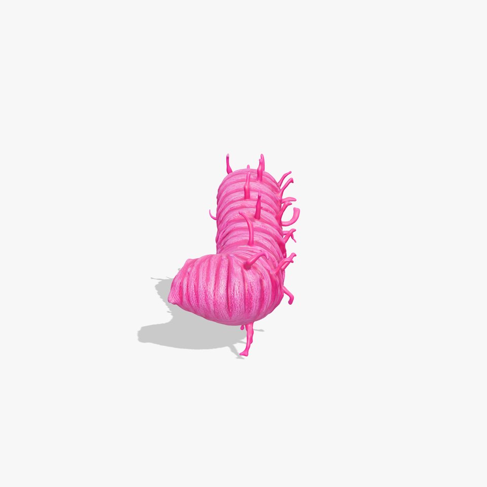Bright Pink Caterpillar model pack